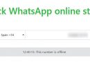 Se acabaron las webs de espionaje en WhatsApp